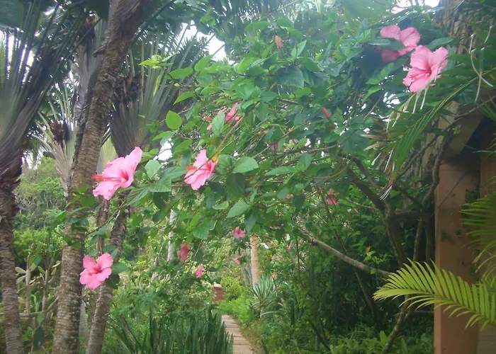 Anfiteatro Tropical