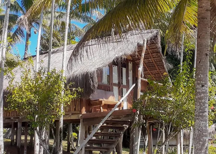 Art Jungle Eco Lodge