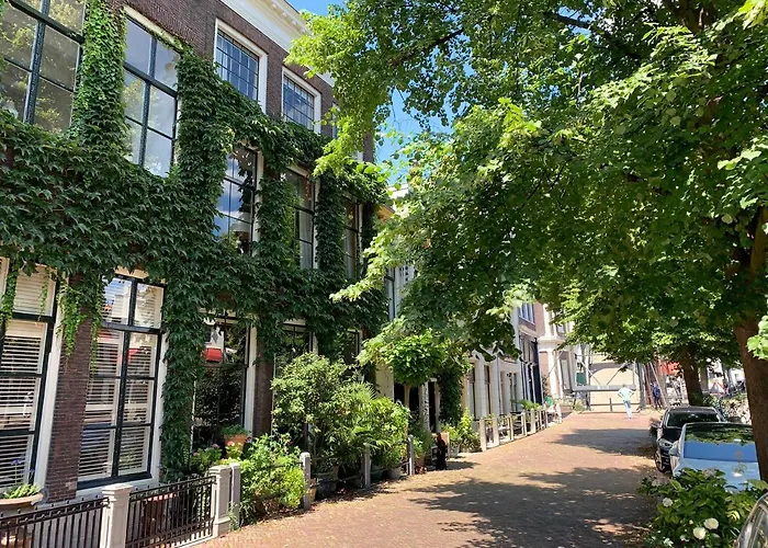 'T Hart Van Schiedam