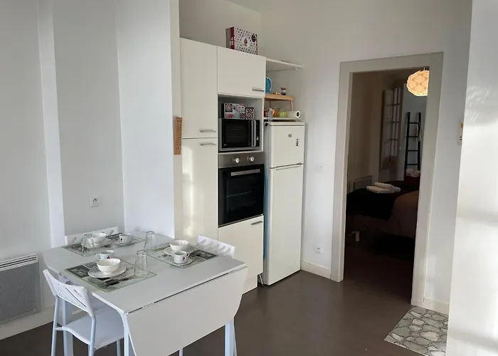 Appartement Lumineux Centre Pau Proche Chateau Et Gare