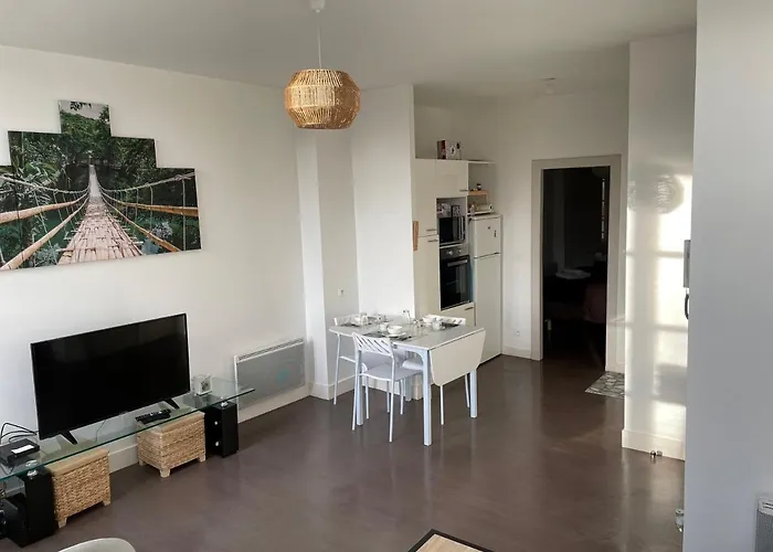 Appartement Lumineux Centre Pau Proche Chateau Et Gare
