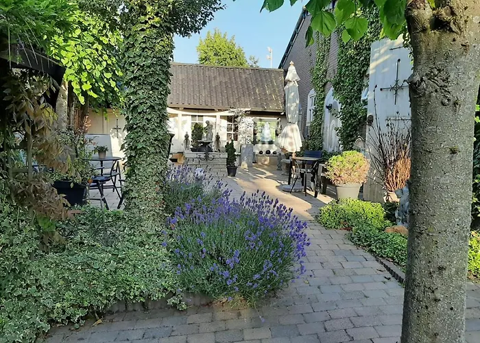 B&B De Vrijheid En De Ruimte In Steenbergen