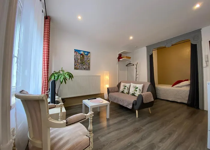 L'Ours De Colmar - Appartements En Centre Ville