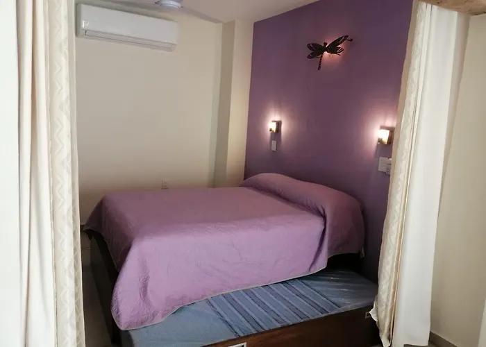 Aguacate Suites