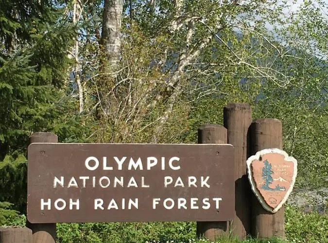 Hoh Valley Cabins