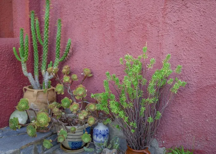 Casa Meridian