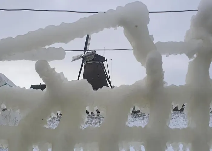 Hunsingo Texel