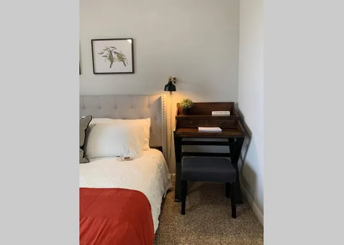 Newly Furnished 1Br Apartment W/ Hermann Park View