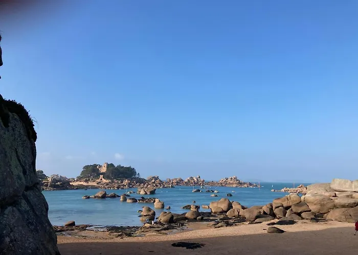 Les Hortensias A 50 M De La Plage De Trestraou