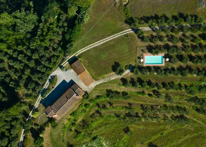Podere L'Ulivo