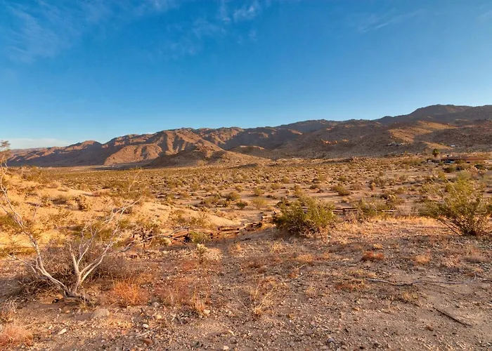 Chuck'S Cabin In A Joshua Tree Community
