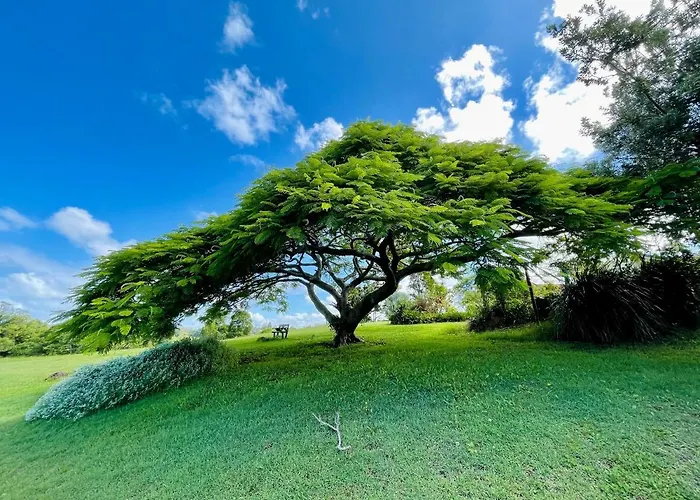 Tropical Coast Retreat - Pet Friendly - Adult Only