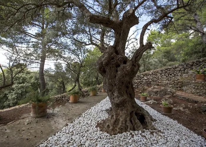 Sa Casa Des Mirador