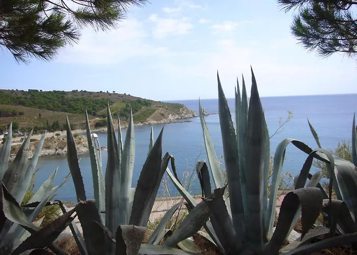 Week End Evasion A Banyuls Sur Mer Dans Pyrenees Orientales