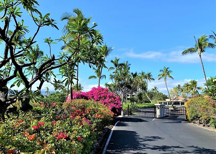 Coconut At Shores - Waikoloa Beach Resort