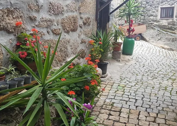 Branca Gonçalves Belmonte