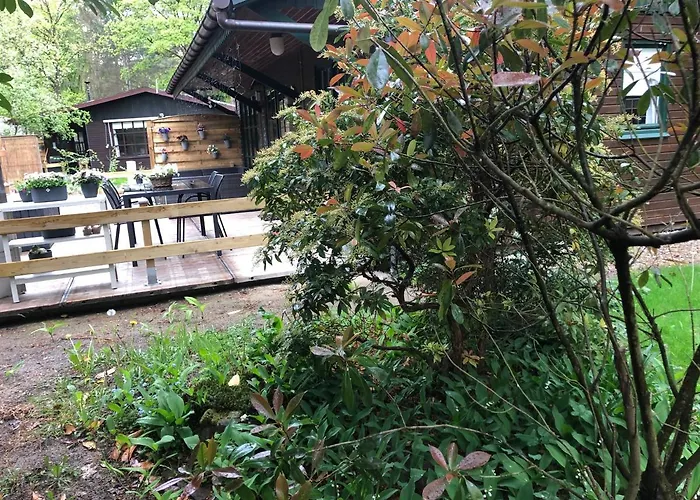 Chalet Harmony