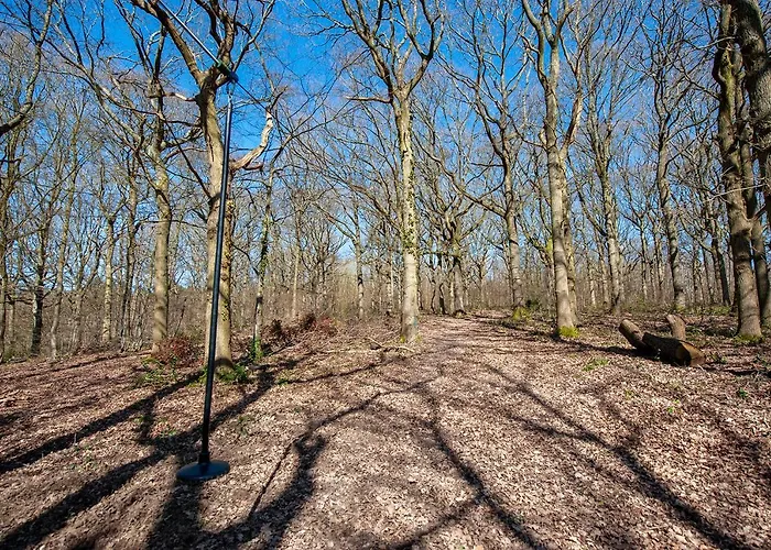Oakside Tree Tops
