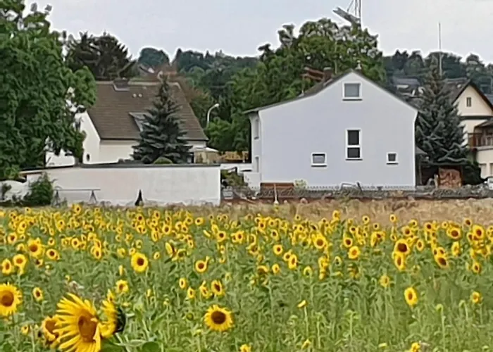 Haus Im Gruenen