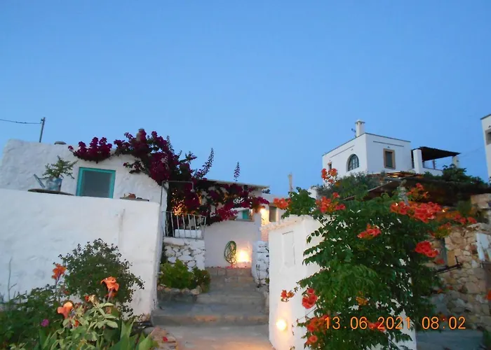Eco House