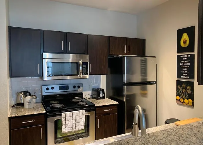 Newly Furnished 1Br Apartment W/ Hermann Park View