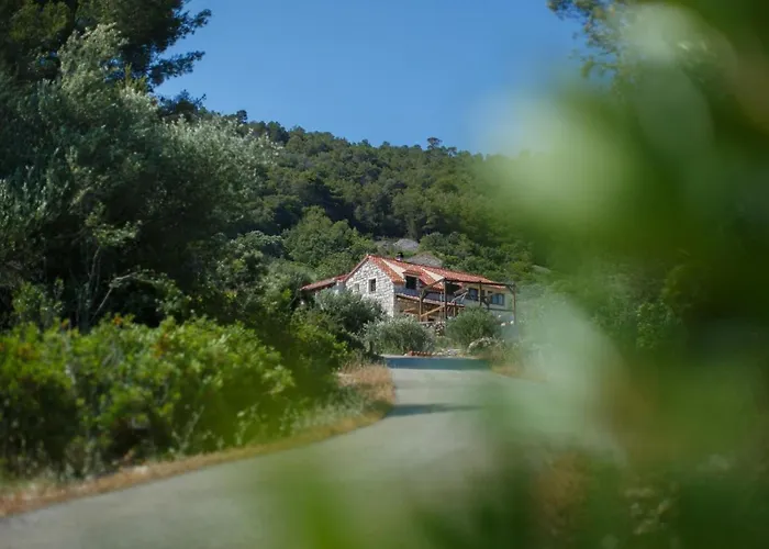 Olive Hill Familly House
