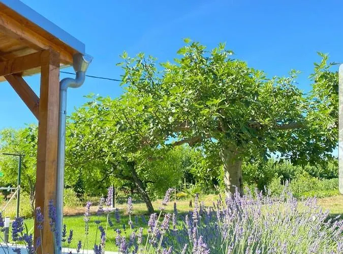 Holiday House Lucia