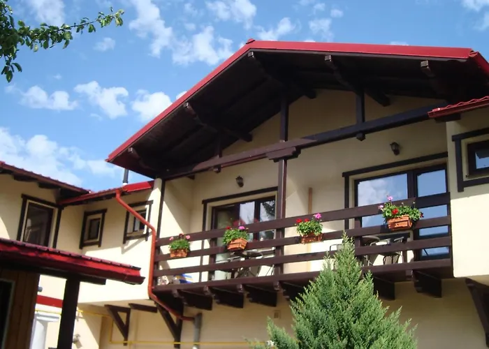 Casa Cu Flori