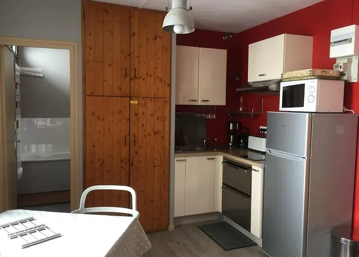 Studio Pour 4 Personnes Avec Ascenseur, Parking Gratuit Et Acces Direct Aux Pistes