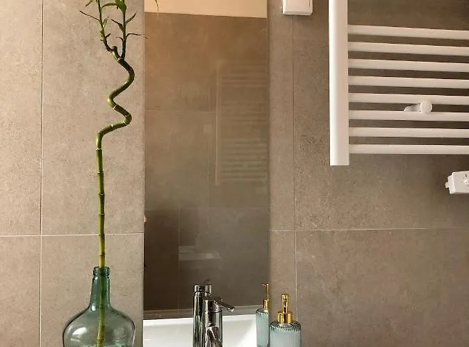 Le Tanin -Appartement Entier Avec Balcon