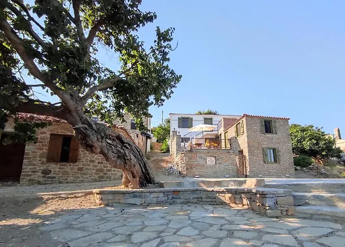 The Hill Village House