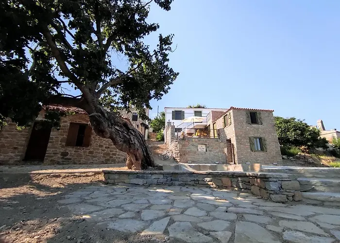 The Hill Village House