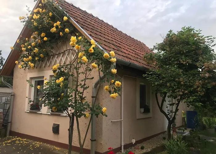 Guest House Rozsakert