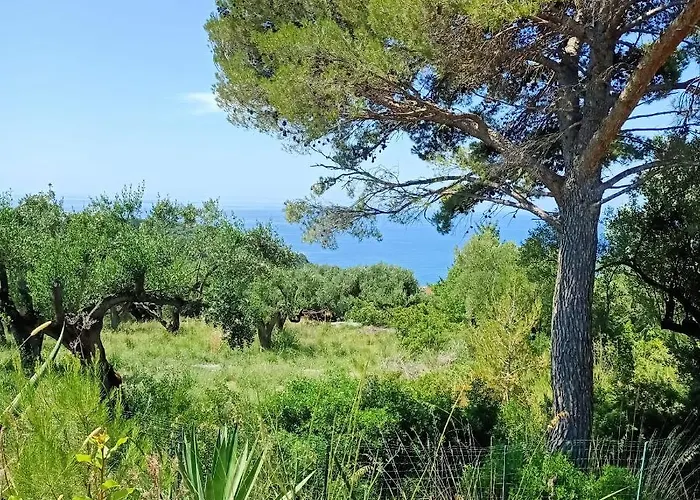 Tarohouse Marina Di Camerota