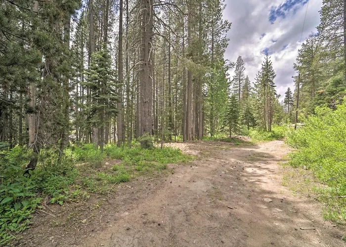 Half-Mi To Trails: Rustic Soda Springs Cabin!
