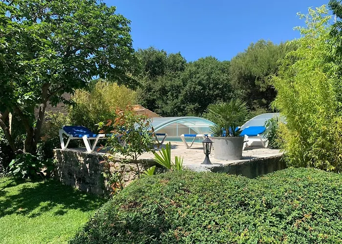 Gite L'Olivier