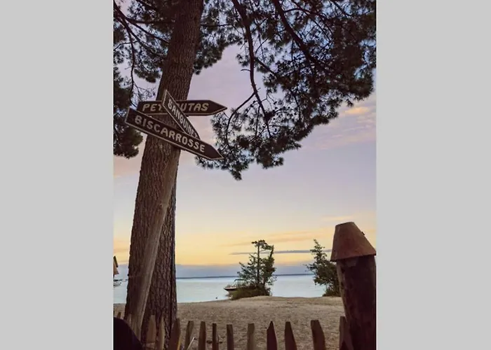 Maison Sur Le Bassin D'Arcachon