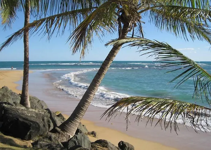 Comfortable And Affordable Deal Close To Beach And Rainforest