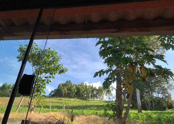 Rancho dos Pássaros Amarelos