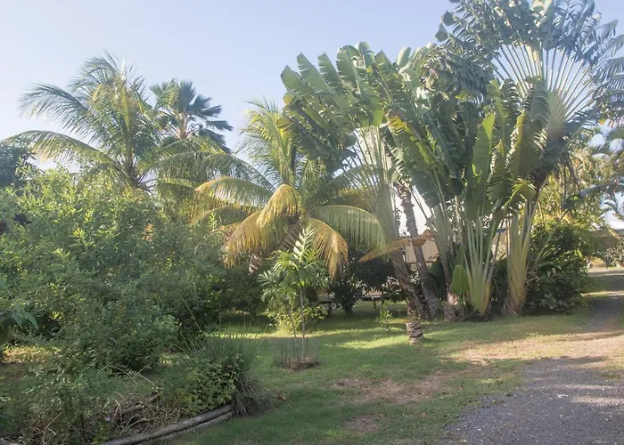 Gite Le Colibri Bungalow Azur Avec Reserve D'Eau