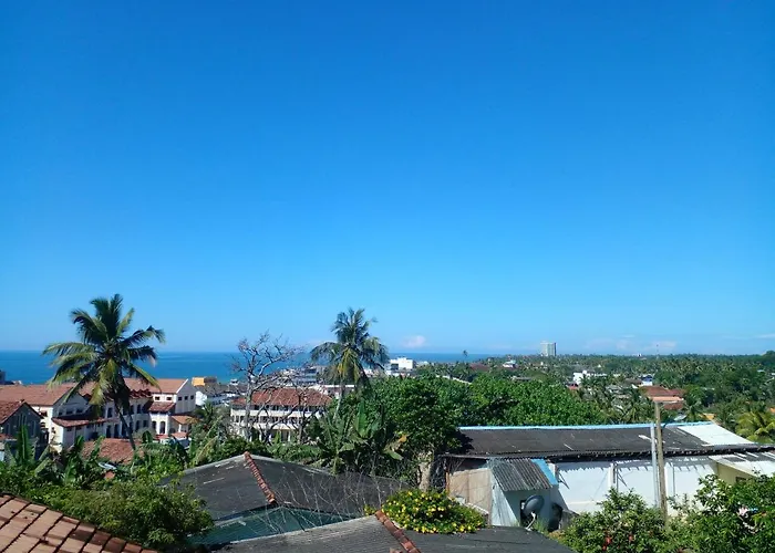 Galle City Nest