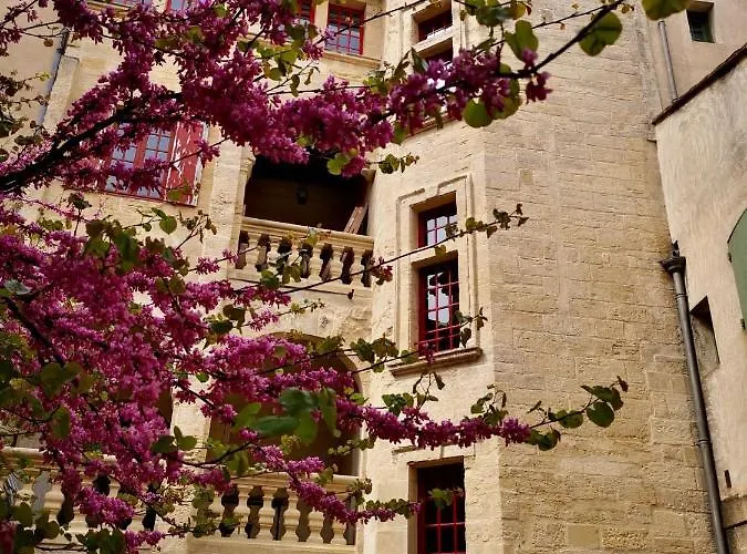 Appartement A 50 M De La Place Aux Herbes