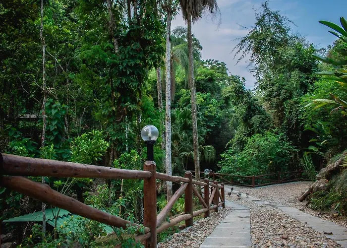 Espaço Viverde Penedo