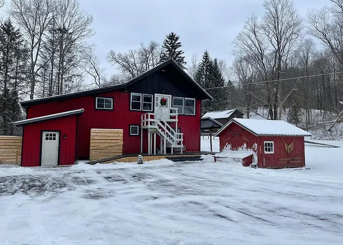 Froggy Goggle Barn