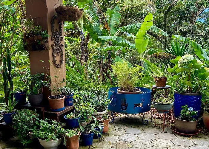 The Hacienda Apartment