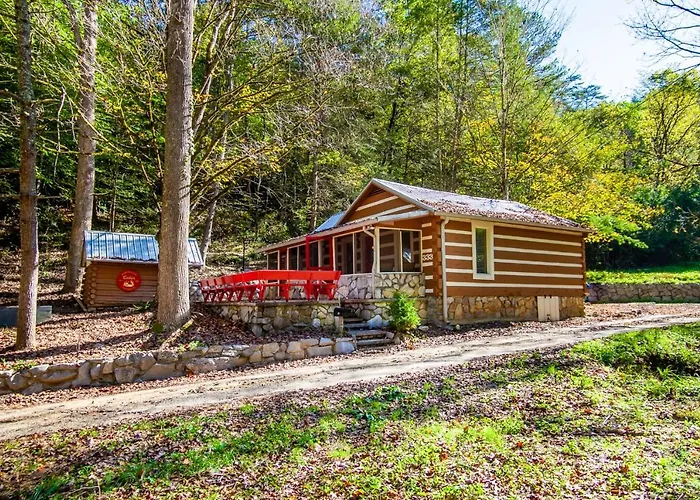 Beary Relaxing Cabin - Rustic With Outdoor Patio