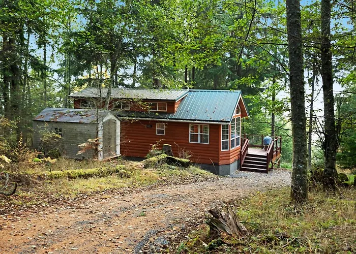 Racoon Retreat
