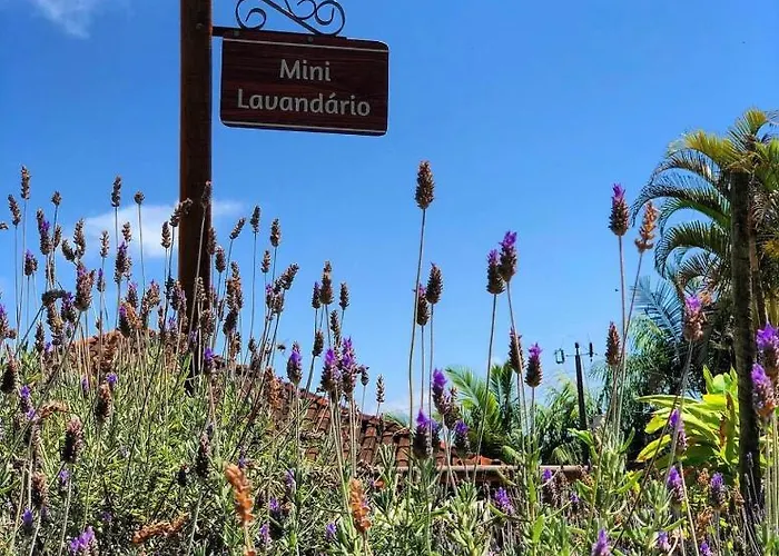Sitio Dos Palmitos - Casa Pupunha