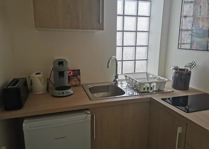 Massy Vilmorin Appartement Independant 3 Pieces