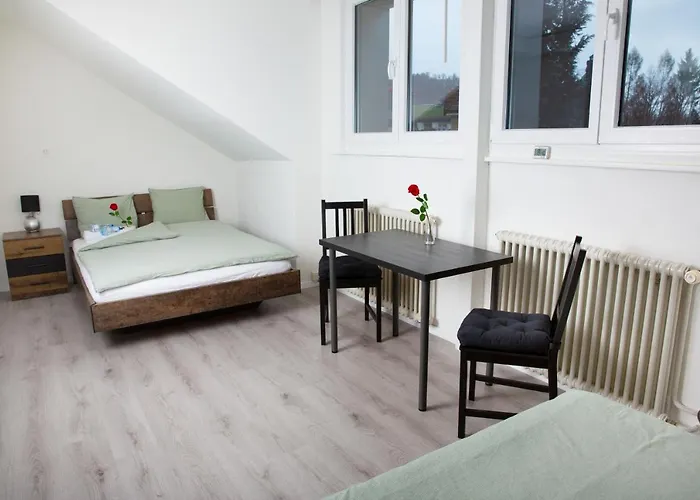 Rustico Inn- Vintage Simple Rooms And Easy Parking Direkt Bei Der Olma Nahe Hsg Und Spital